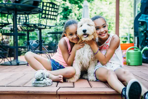 Sisters playing with a Australian Labradoodle puppy