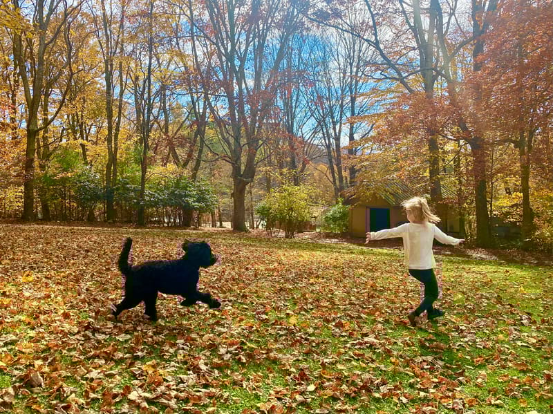 Our commitment to responsible breeding and supporting special needs families